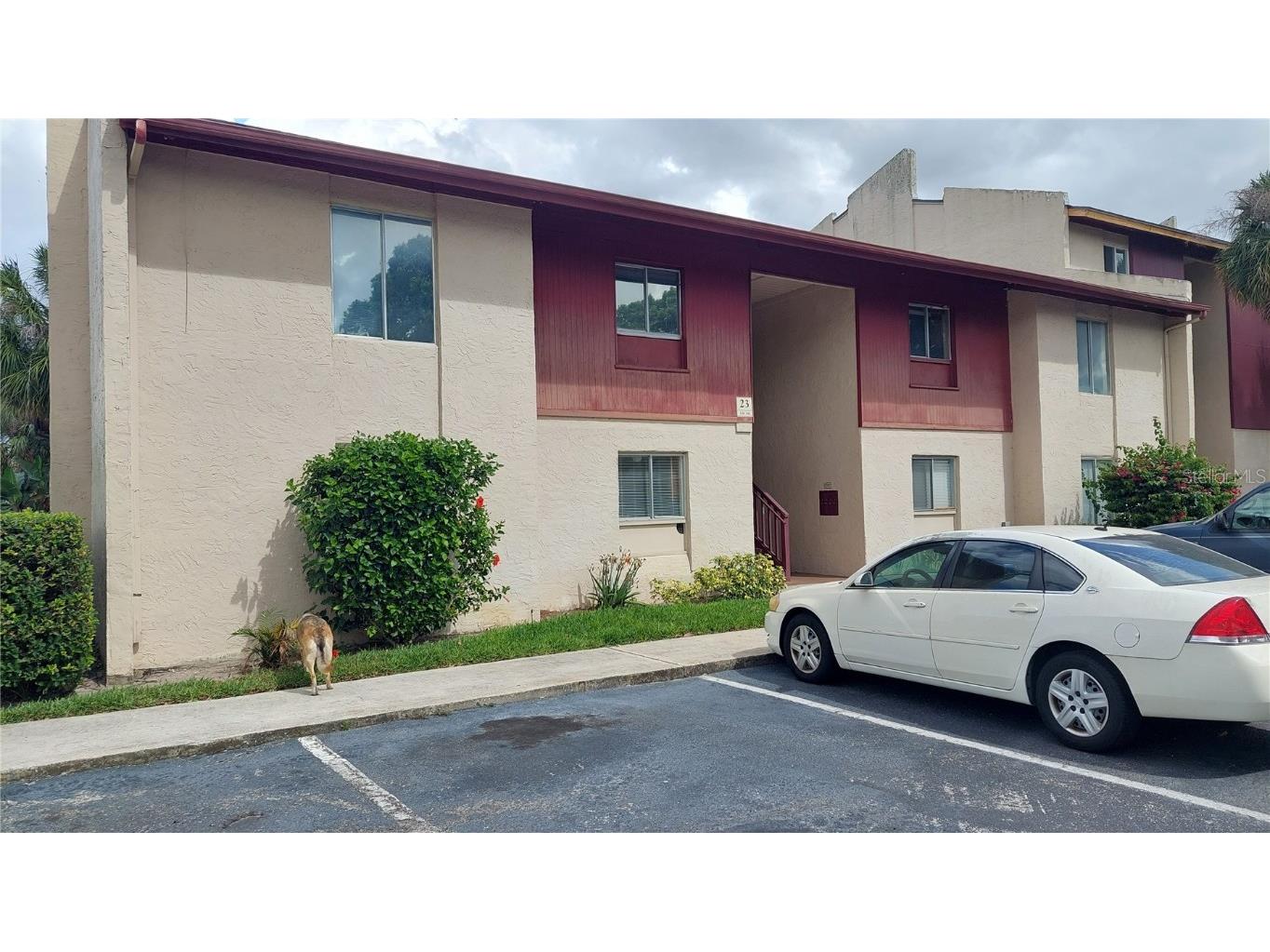 3836 N Lake Drive #119 Tampa FL 33614 T3438860 image1