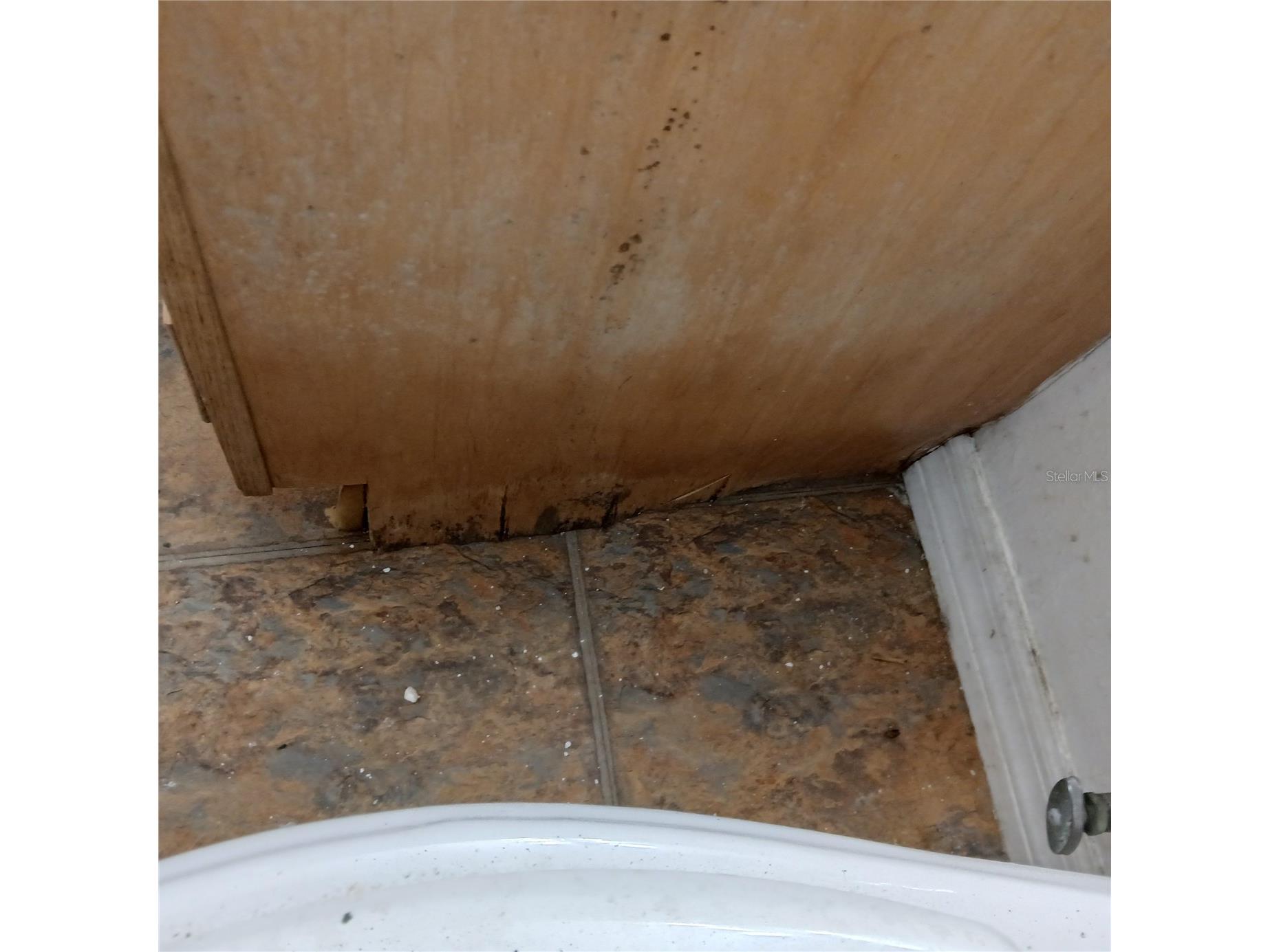 3836 N Lake Drive #119 Tampa FL 33614 TB8486641 image13