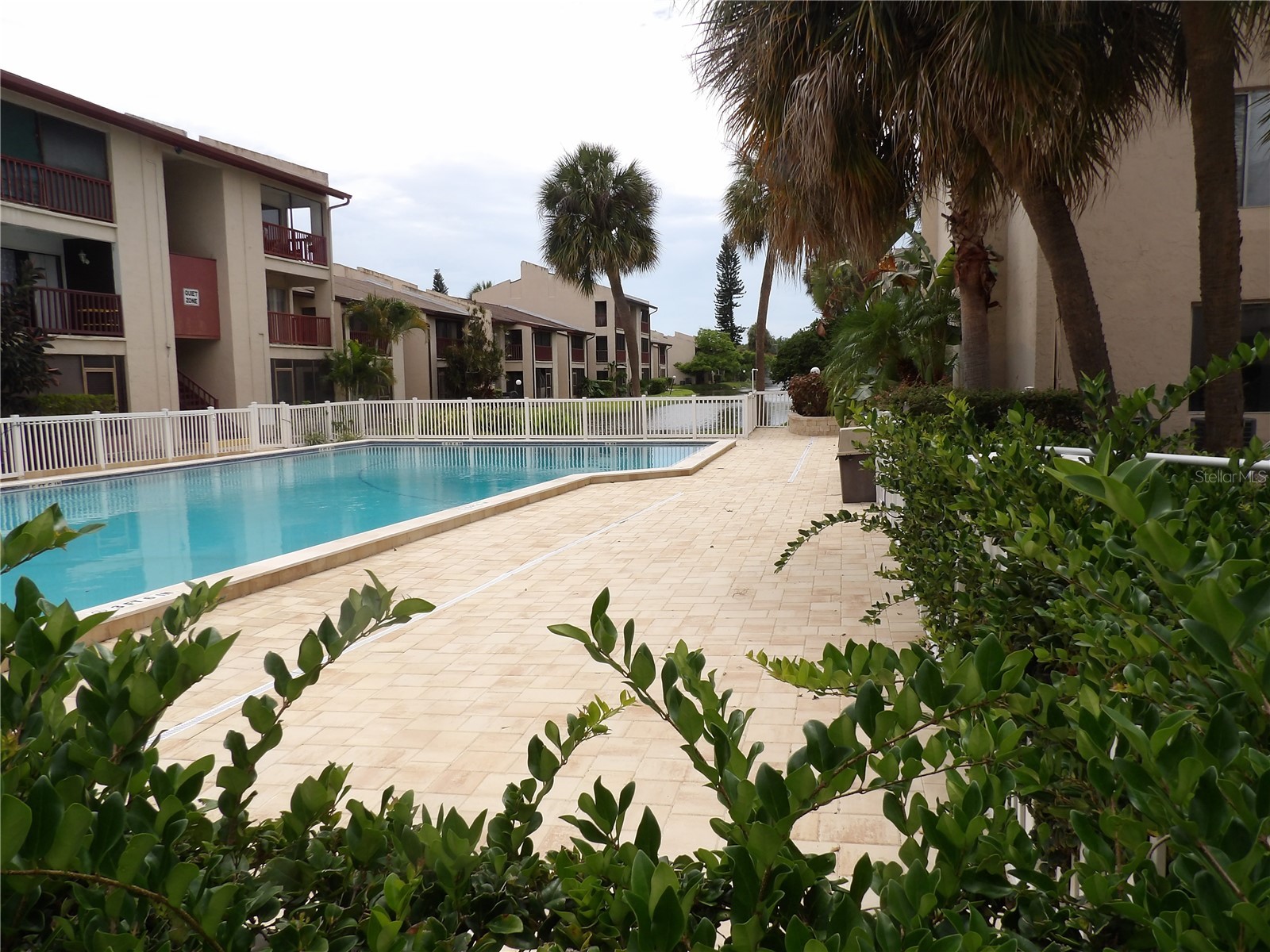 3836 N Lake Drive #119 Tampa FL 33614 TB8486641 image16