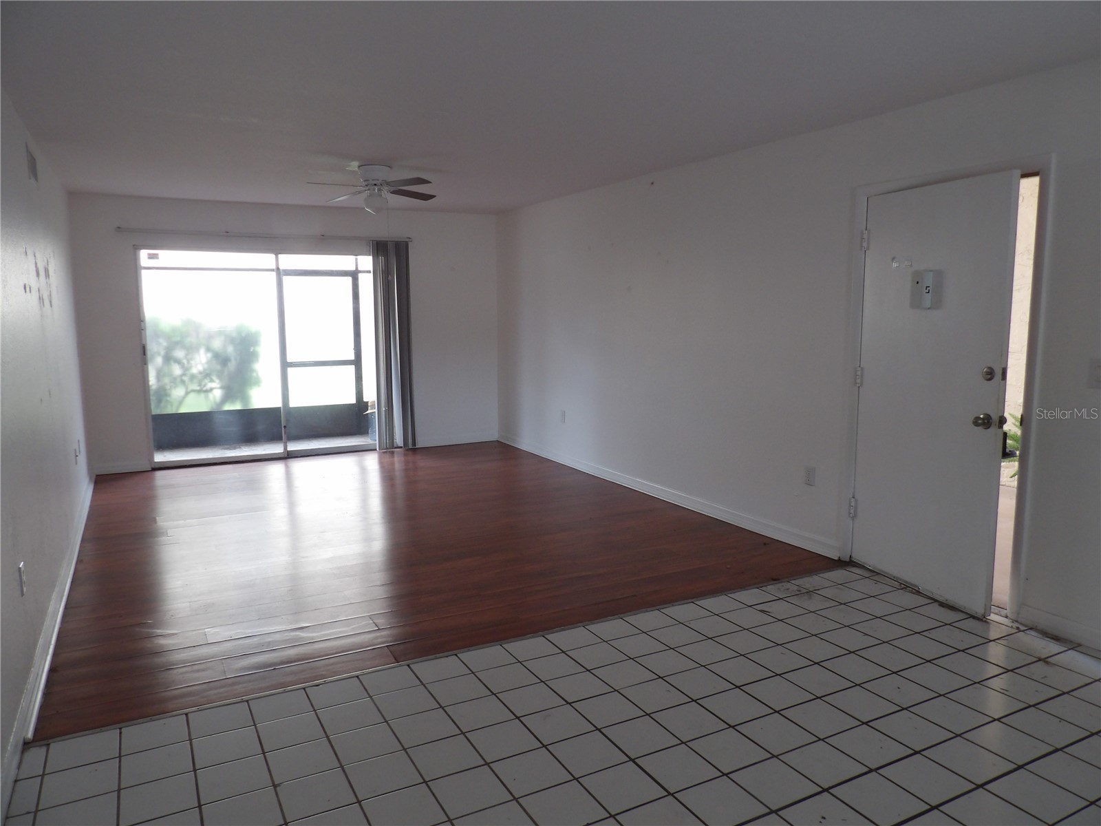 3836 N Lake Drive #119 Tampa FL 33614 TB8486641 image5