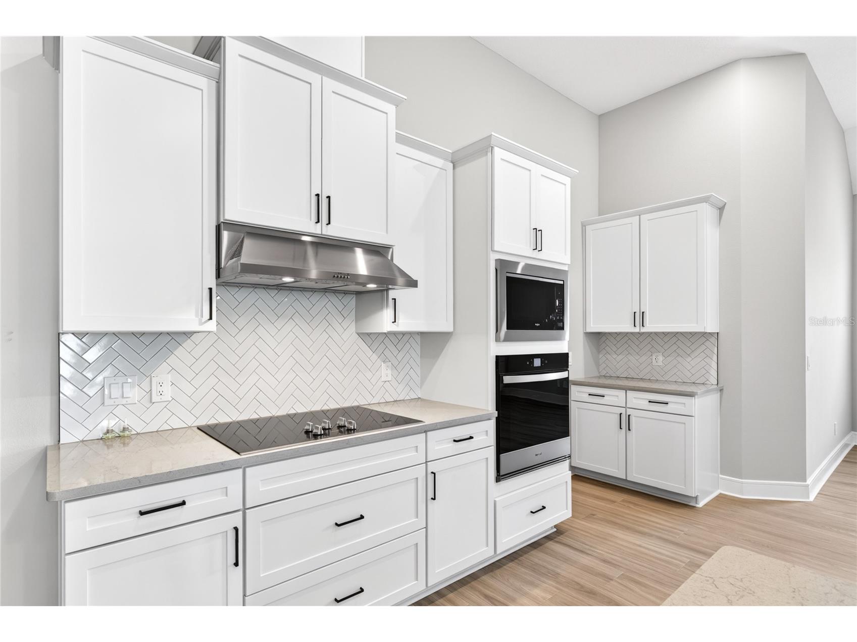 3836 Saddle Hill Trail Fruitland Park FL 34731 G5111458 image14