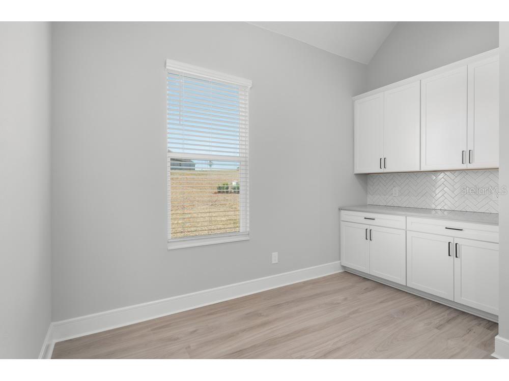 3836 Saddle Hill Trail Fruitland Park FL 34731 TB8486563 image11