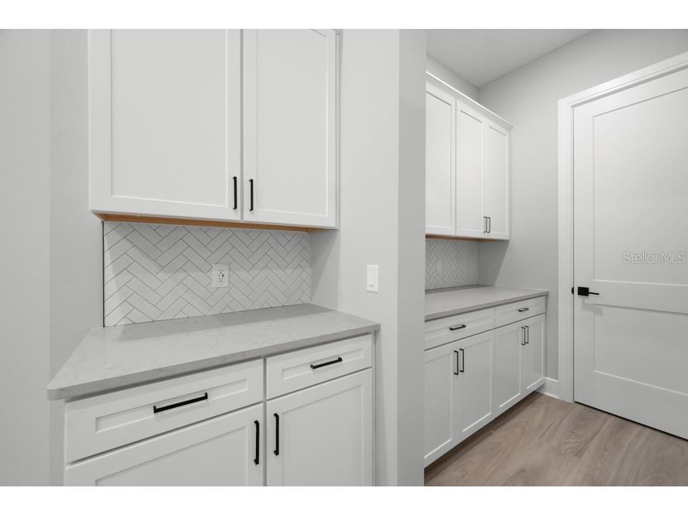 3836 Saddle Hill Trail Fruitland Park FL 34731 TB8486563 image32