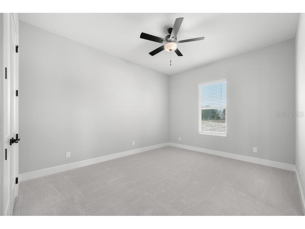 3836 Saddle Hill Trail Fruitland Park FL 34731 TB8486563 image36