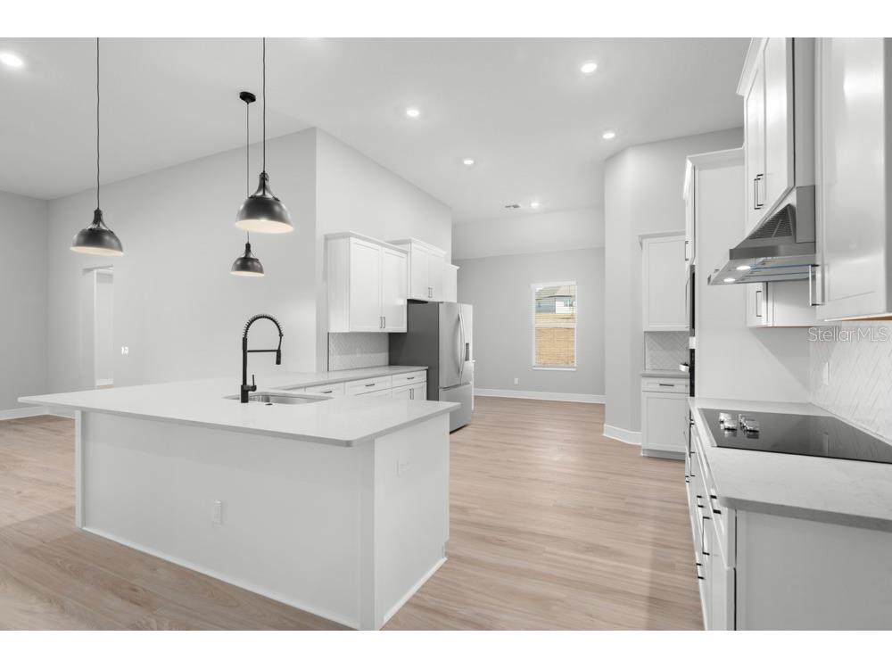 3836 Saddle Hill Trail Fruitland Park FL 34731 TB8486563 image4