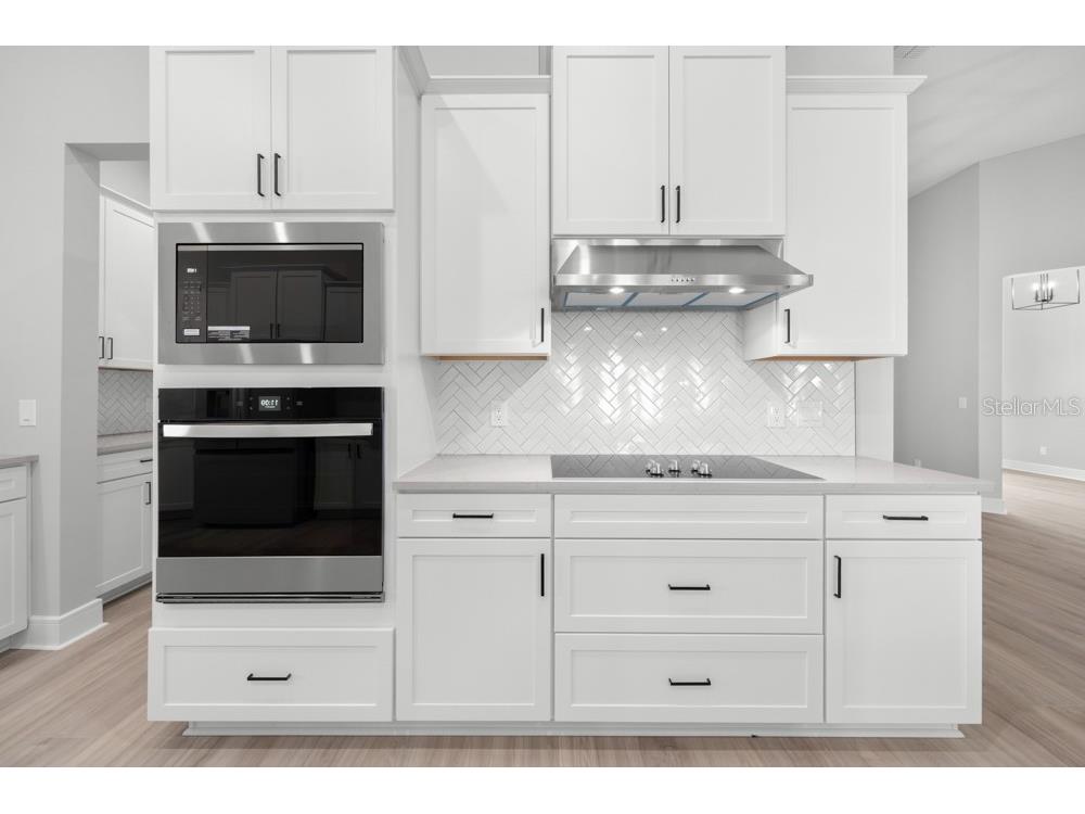 3836 Saddle Hill Trail Fruitland Park FL 34731 TB8486563 image6