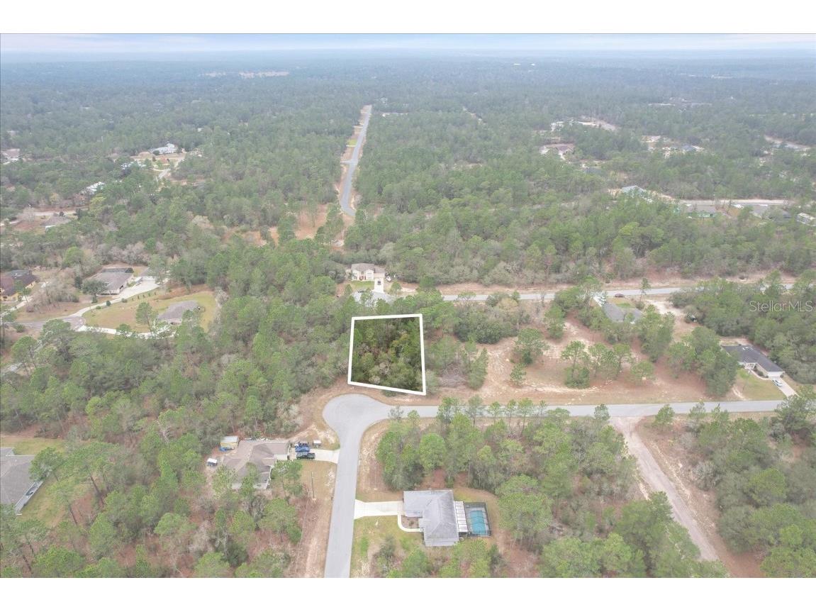 3836 W Eunice Drive Citrus Springs FL 34433 O6183143 image1