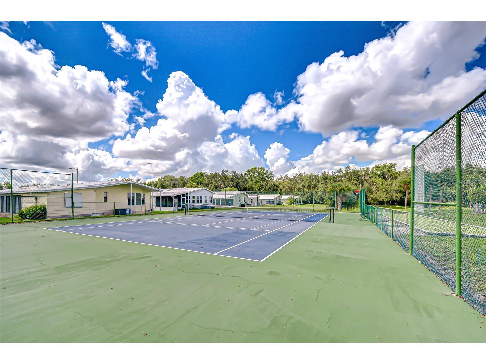 3836 William Hume Drive Zephyrhills FL 33541 TB8474484 image32