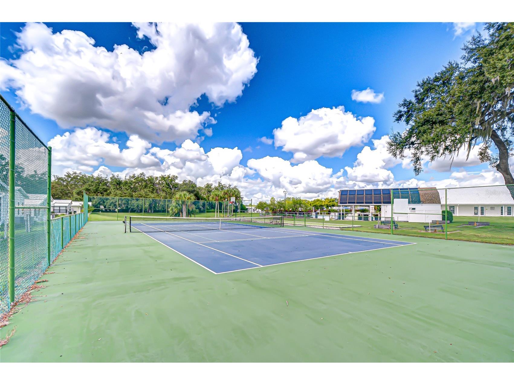 3836 William Hume Drive Zephyrhills FL 33541 TB8474484 image33