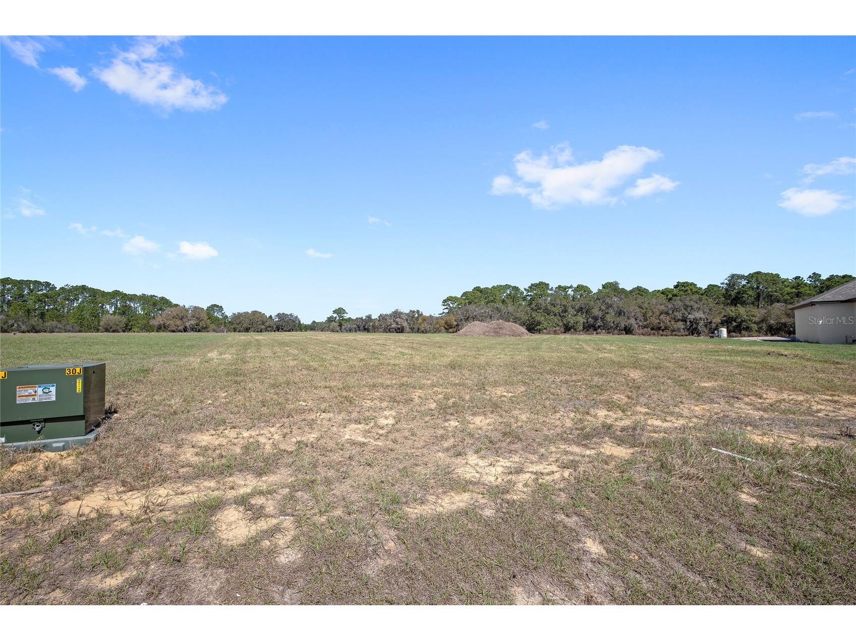 38361 Lake Meadow Court Umatilla FL 32784 - LAKE DALHOUSIE O6393861 image2