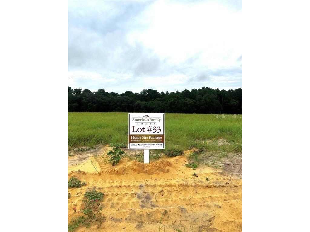 38365 Lake Meadow Court Umatilla FL 32784 - LAKE DALHOUSIE G5084784 image1