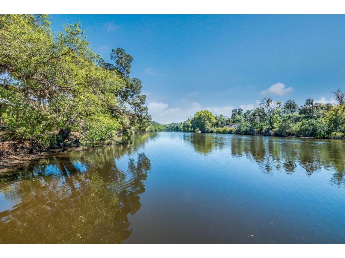 3837 155th Avenue E Parrish FL 34219 - MANATEE RIVER A4667762 image35