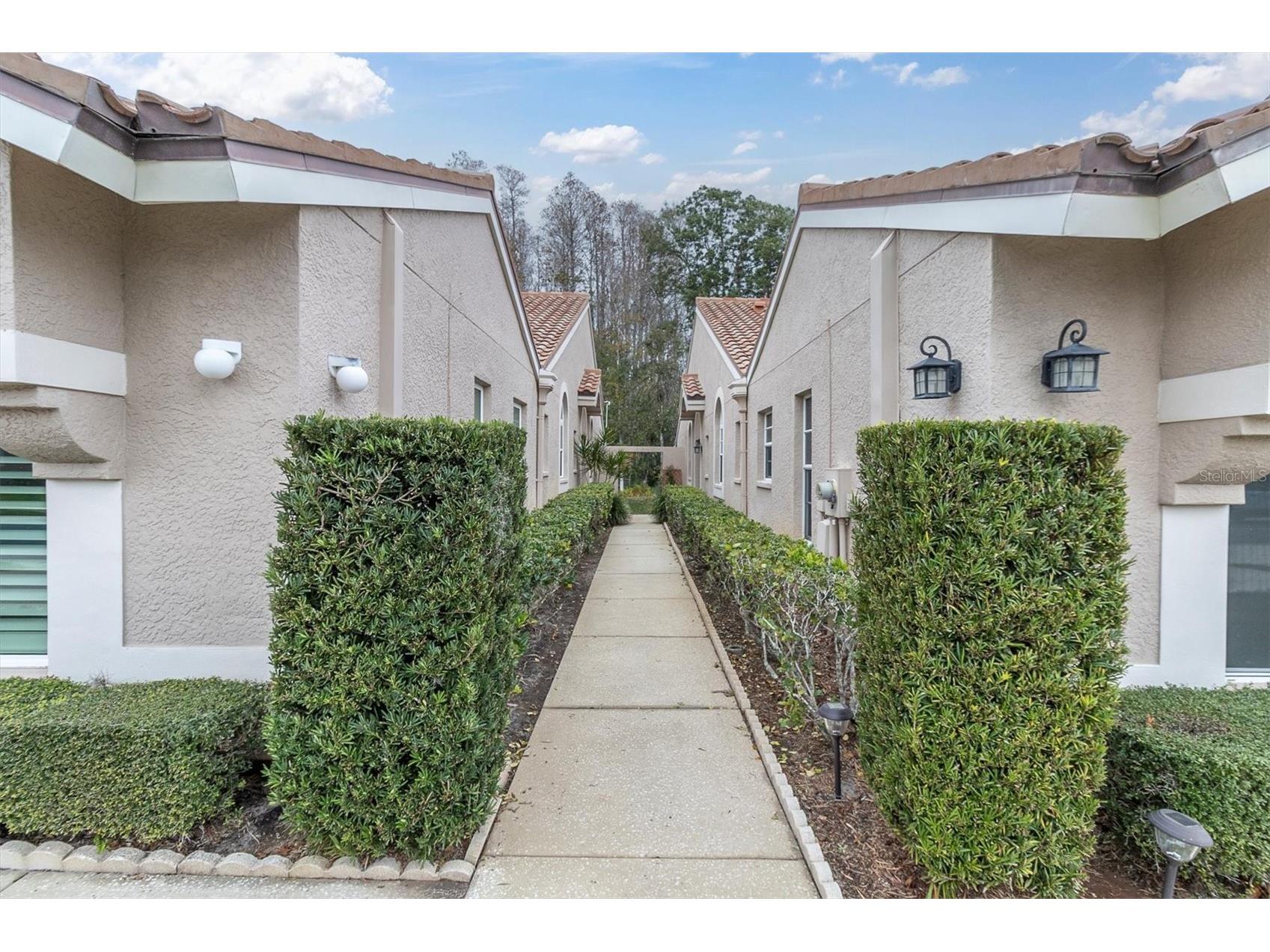 3837 Darston Street Palm Harbor FL 34685 TB8465990 image33