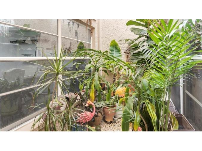 3837 Darston Street Palm Harbor FL 34685 TB8465990 image35