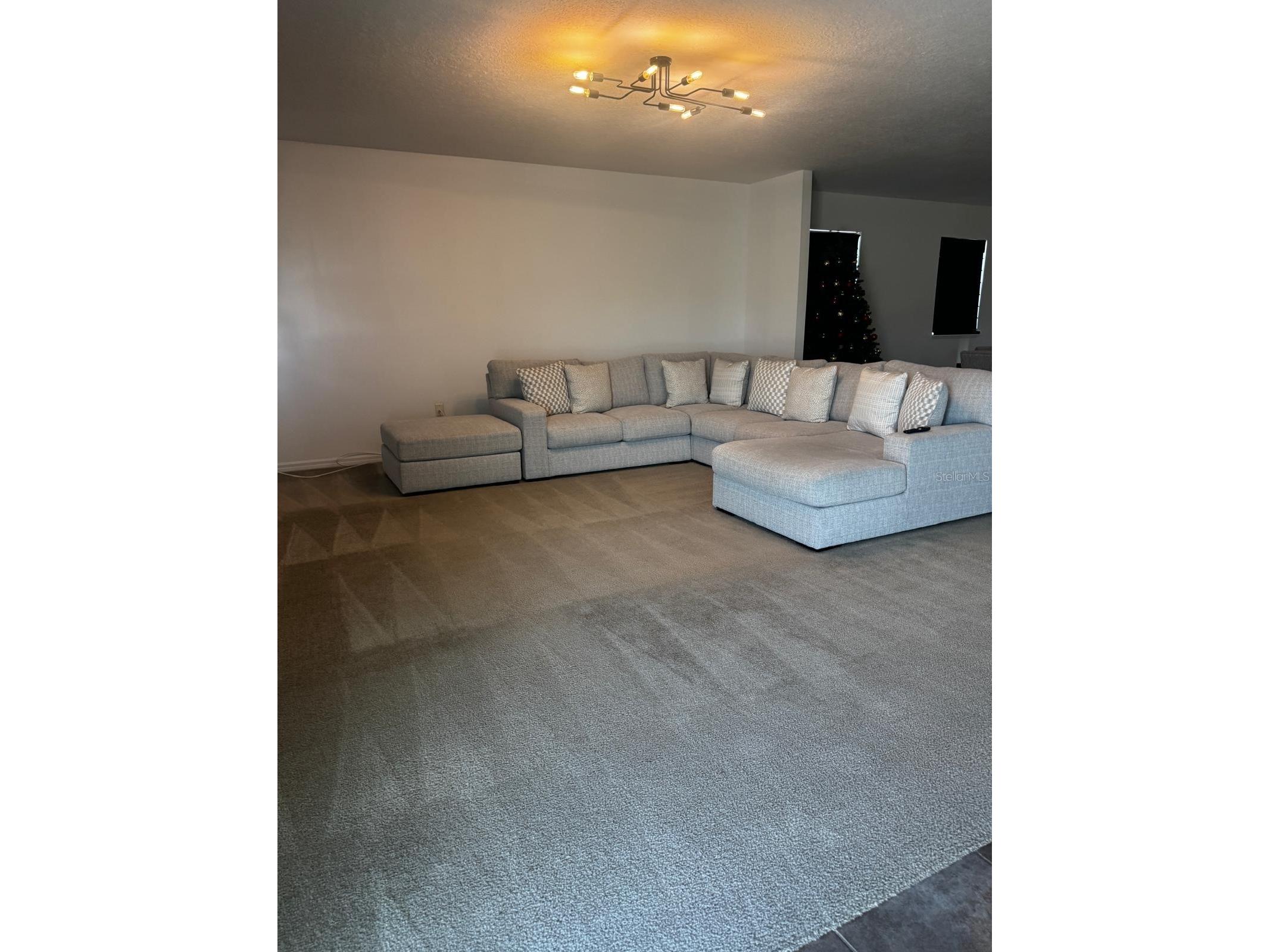 3837 Spring Creek Dundee FL 33838 P4937542 image3