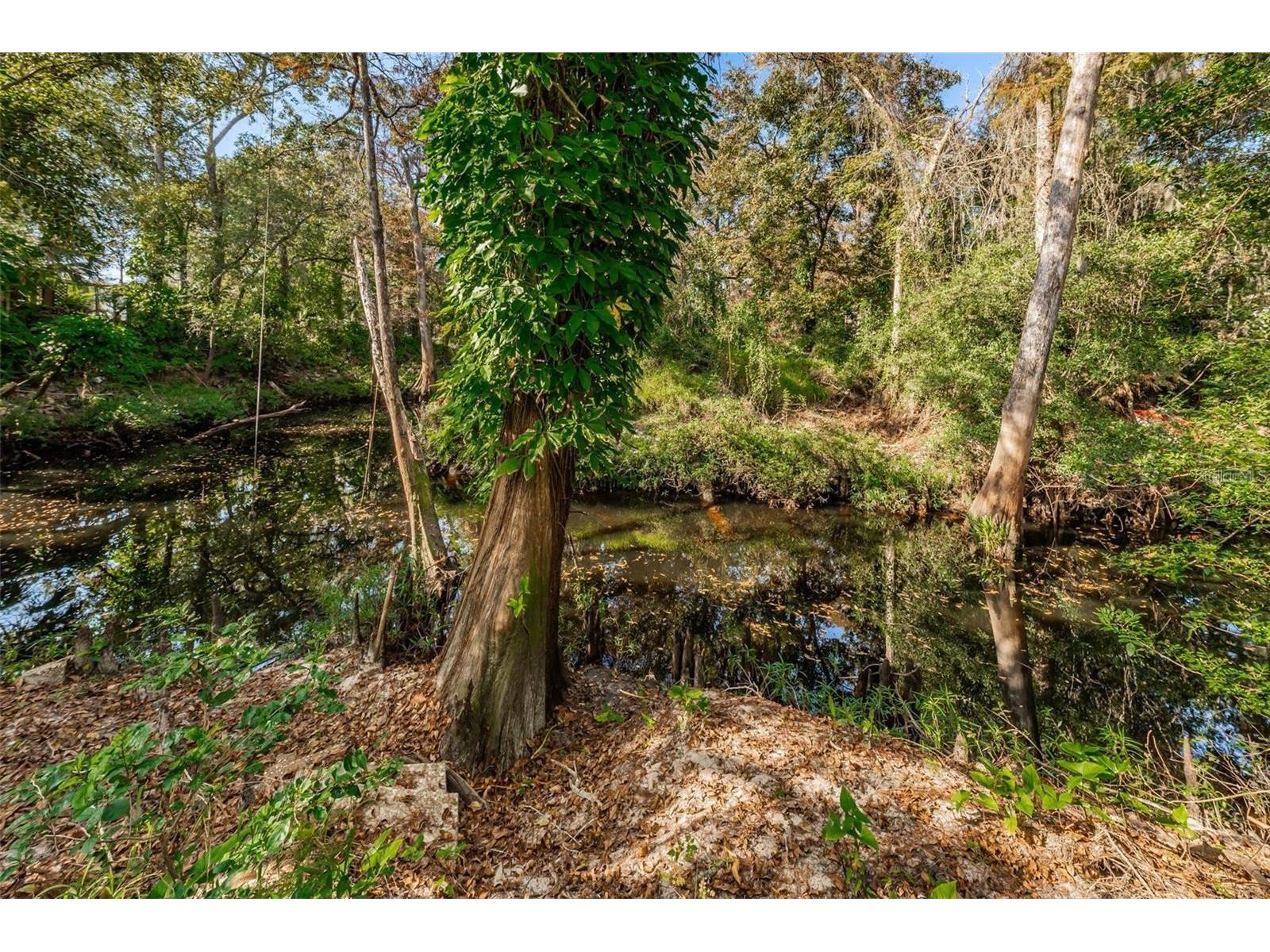 3837 Streamside Lane New Port Richey FL 34655 - ANCLOTE RIVER TB8355197 image8