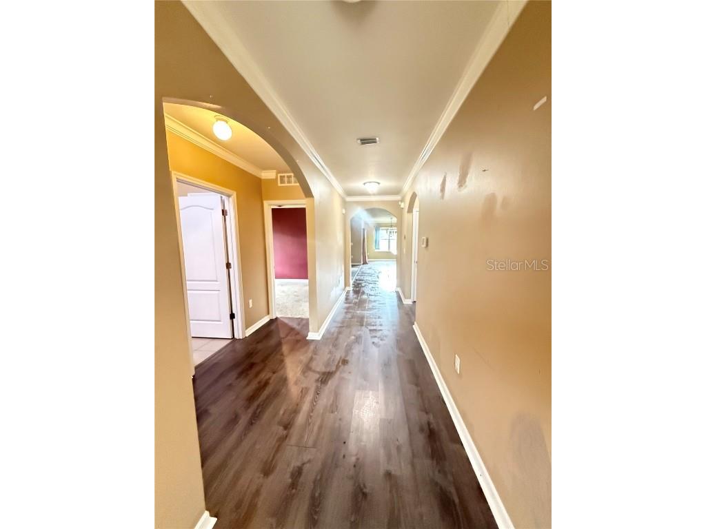 3838 Crossline Drive Spring Hill FL 34609 TB8433871 image4