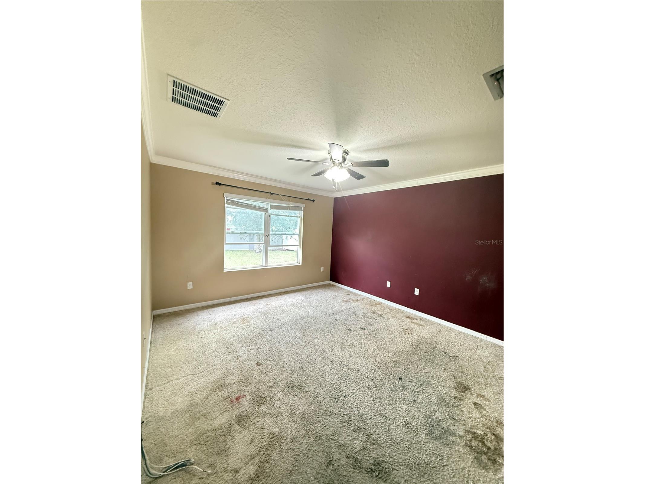 3838 Crossline Drive Spring Hill FL 34609 TB8504371 image10