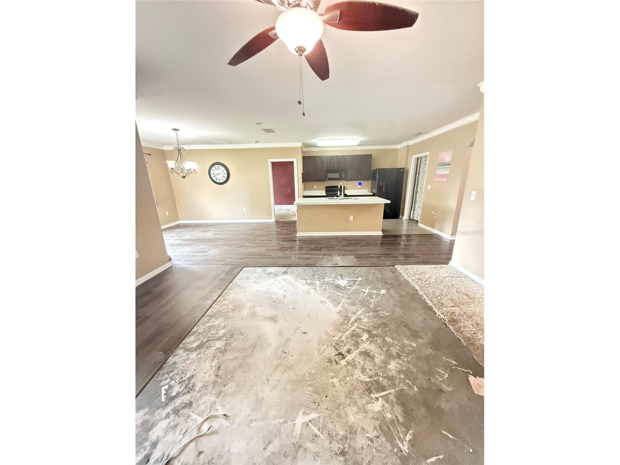 3838 Crossline Drive Spring Hill FL 34609 TB8504371 image3