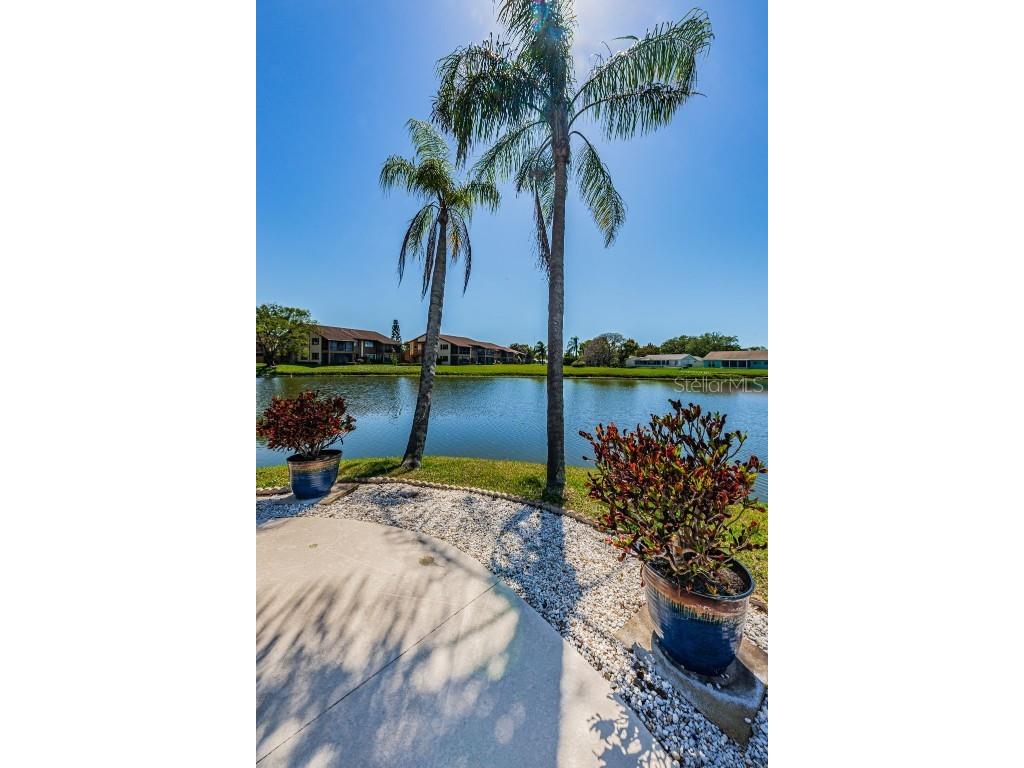 3838 Lanyard Court #B New Port Richey FL 34652 W7875781 image48