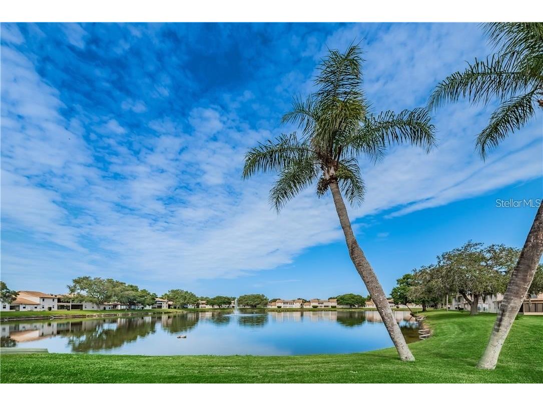3838 Staysail Lane #3838 Holiday FL 34691 TB8493293 image28