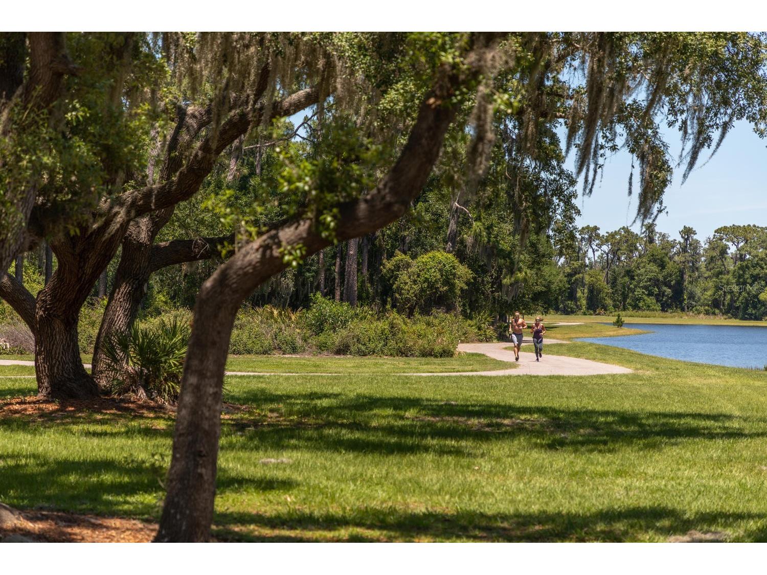 3839 Barbour Trail Odessa FL 33556 W7885739 image75