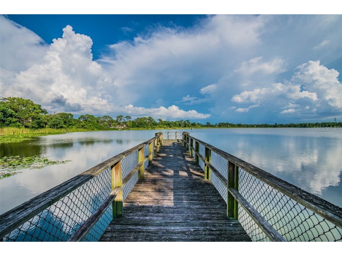 3839 Berkshire Court Palm Harbor FL 34684 U8241505 image48