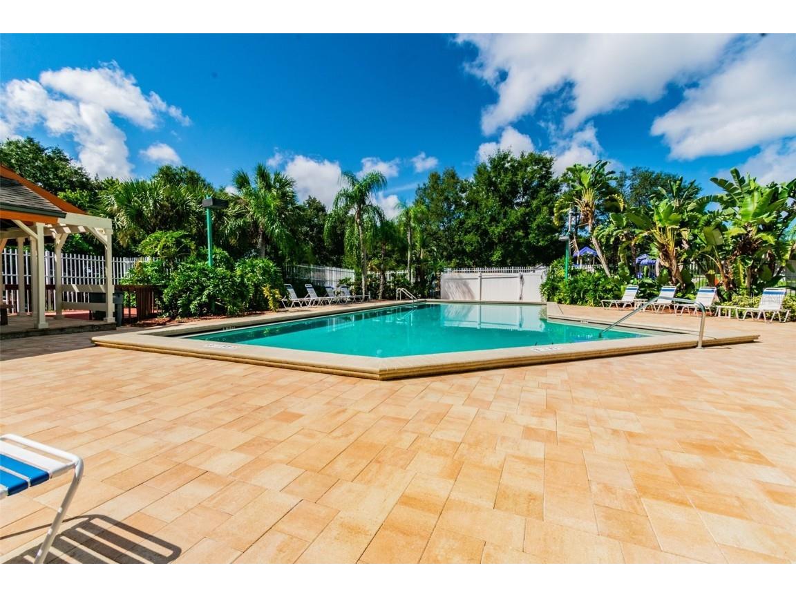 3839 Berkshire Court Palm Harbor FL 34684 U8241505 image53