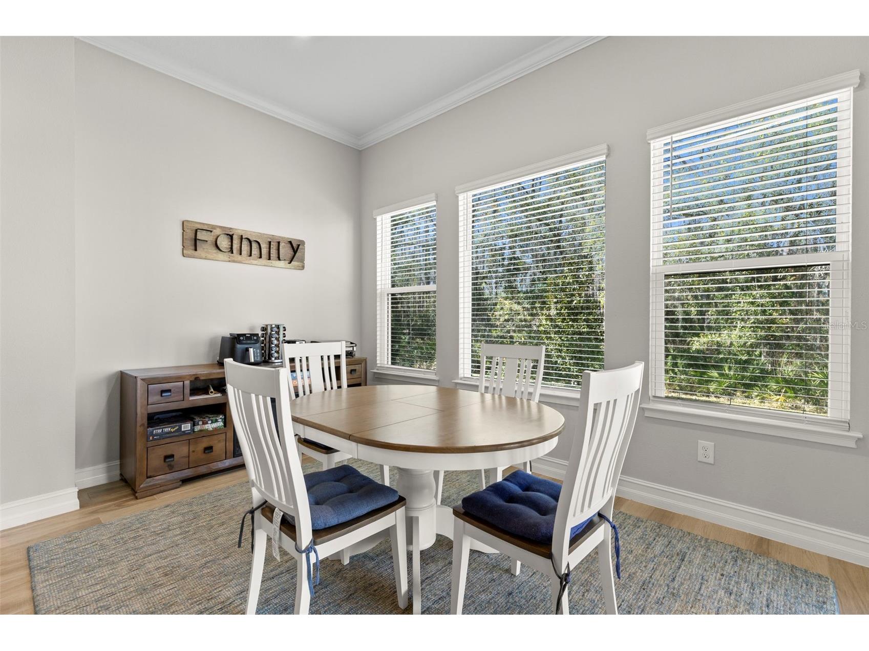 3839 San Vito Drive Wesley Chapel FL 33543 TB8472445 image15