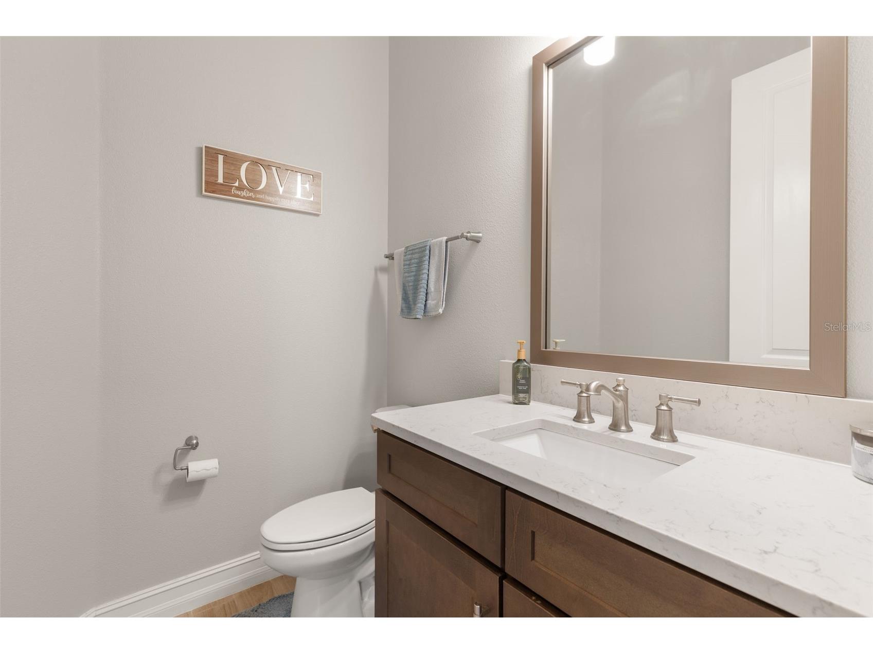 3839 San Vito Drive Wesley Chapel FL 33543 TB8472445 image26