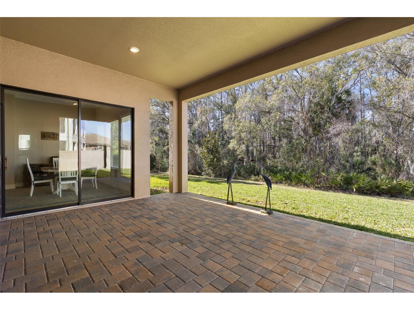 3839 San Vito Drive Wesley Chapel FL 33543 TB8472445 image44