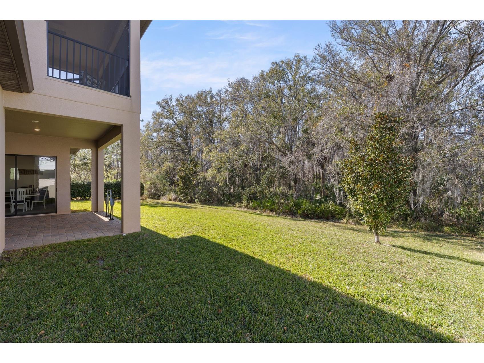 3839 San Vito Drive Wesley Chapel FL 33543 TB8472445 image45