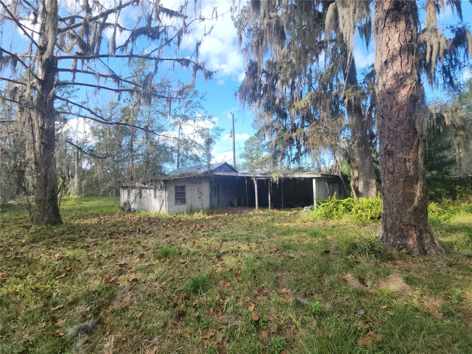 384 Crescent Lake Shore Drive Crescent City FL 32112 - Crescent V4946846 image26