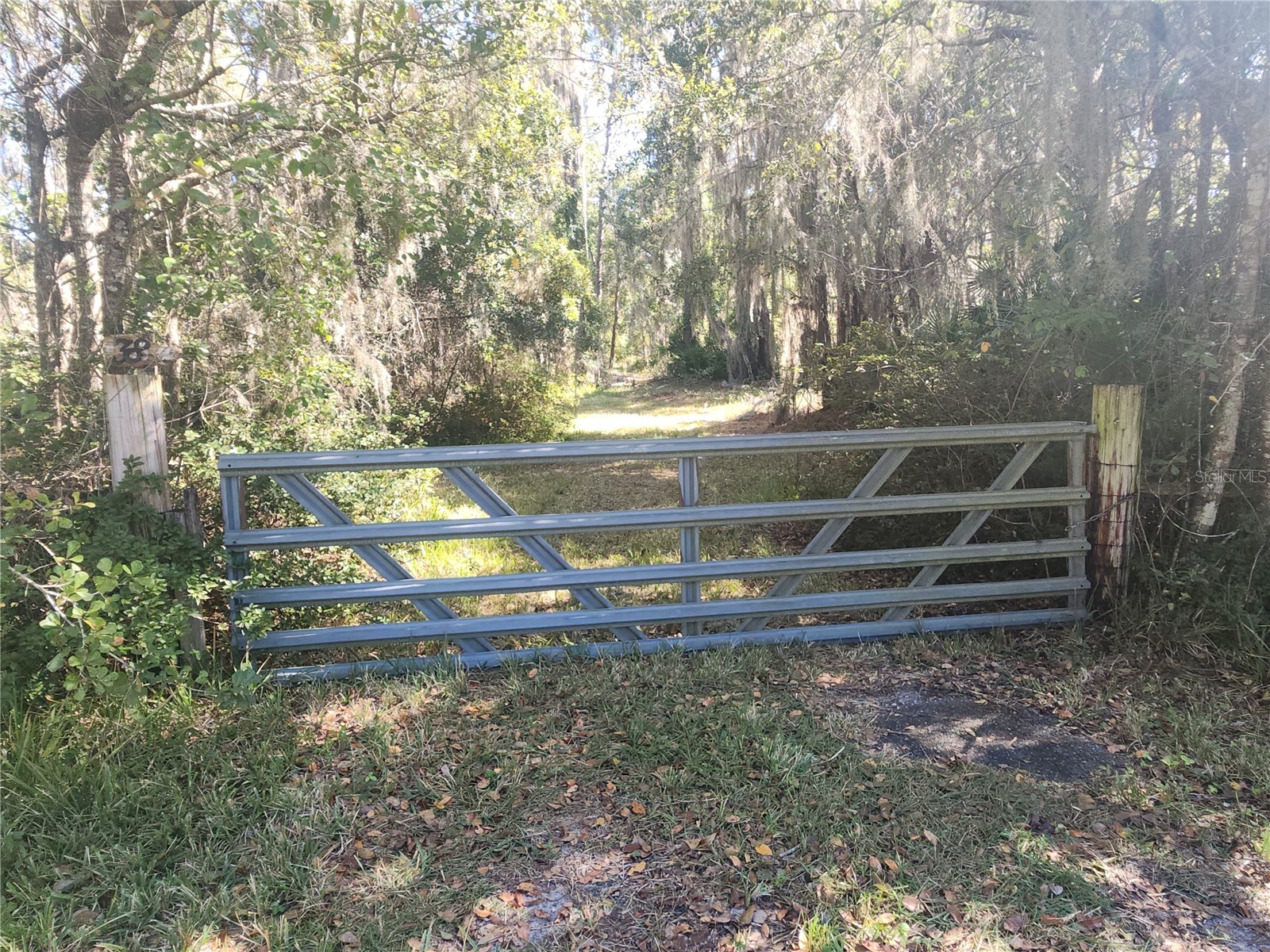 384 Crescent Lake Shore Drive Crescent City FL 32112 - Crescent V4946846 image28