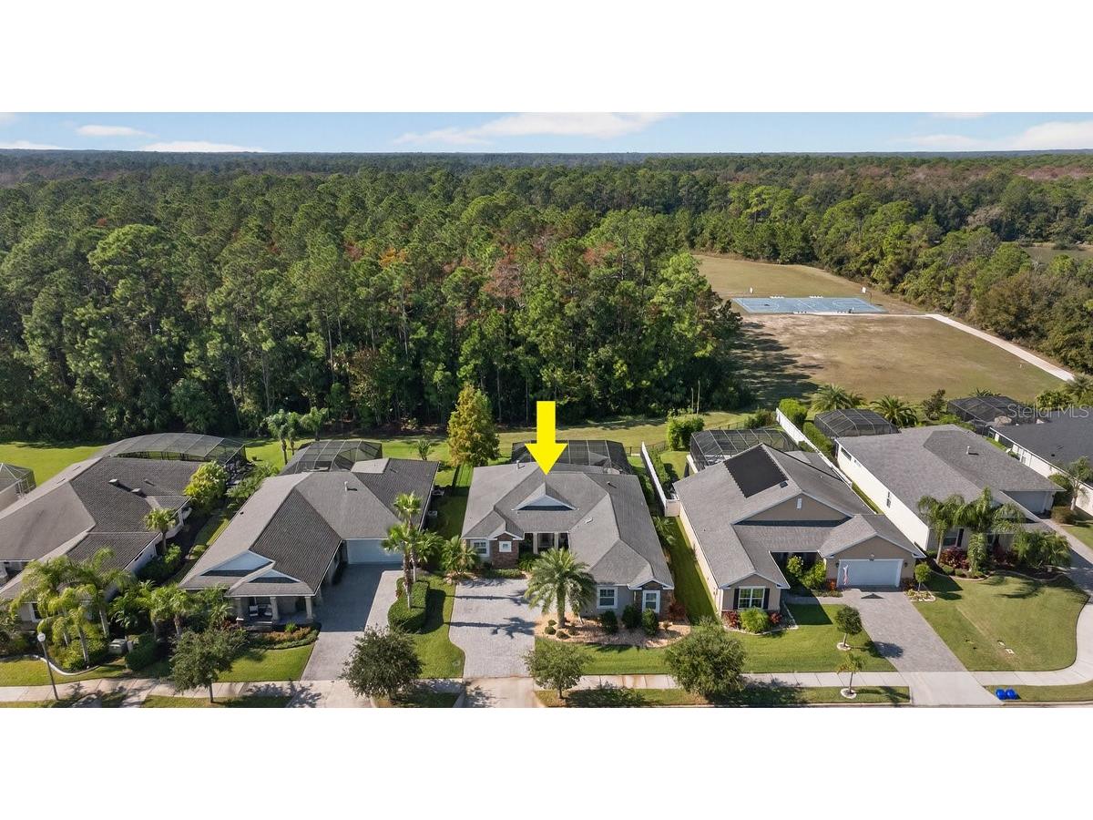 384 Leoni Street New Smyrna Beach FL 32168 FC314399 image4