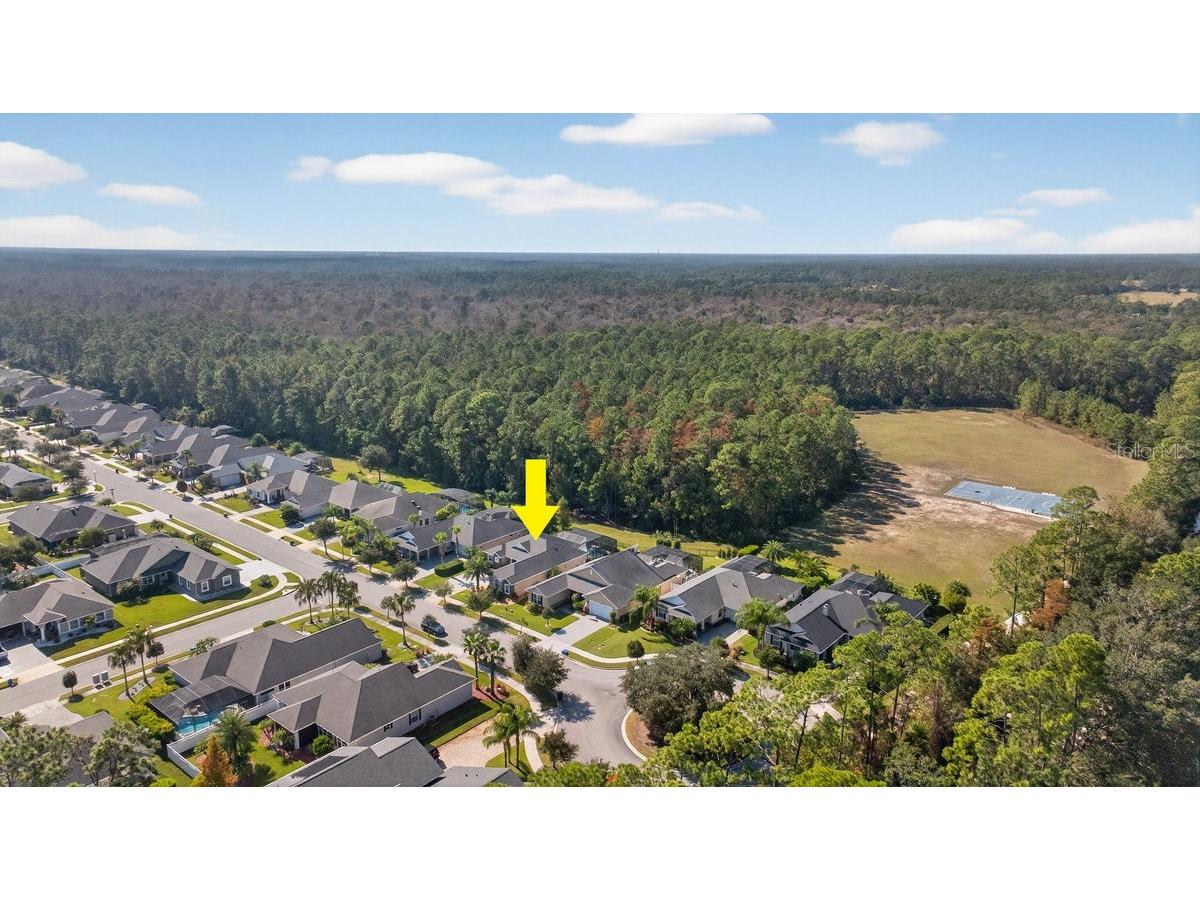 384 Leoni Street New Smyrna Beach FL 32168 FC314399 image45