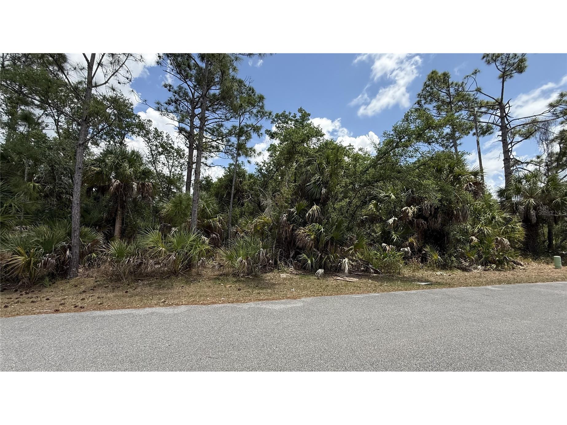 384 Munoz Street Port Charlotte FL 33953 TB8504117 image3