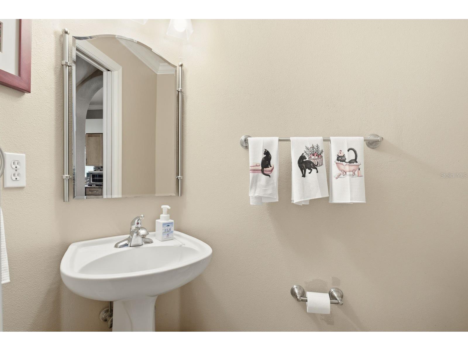 384 Wingate Circle Oldsmar FL 34677 TB8515031 image21