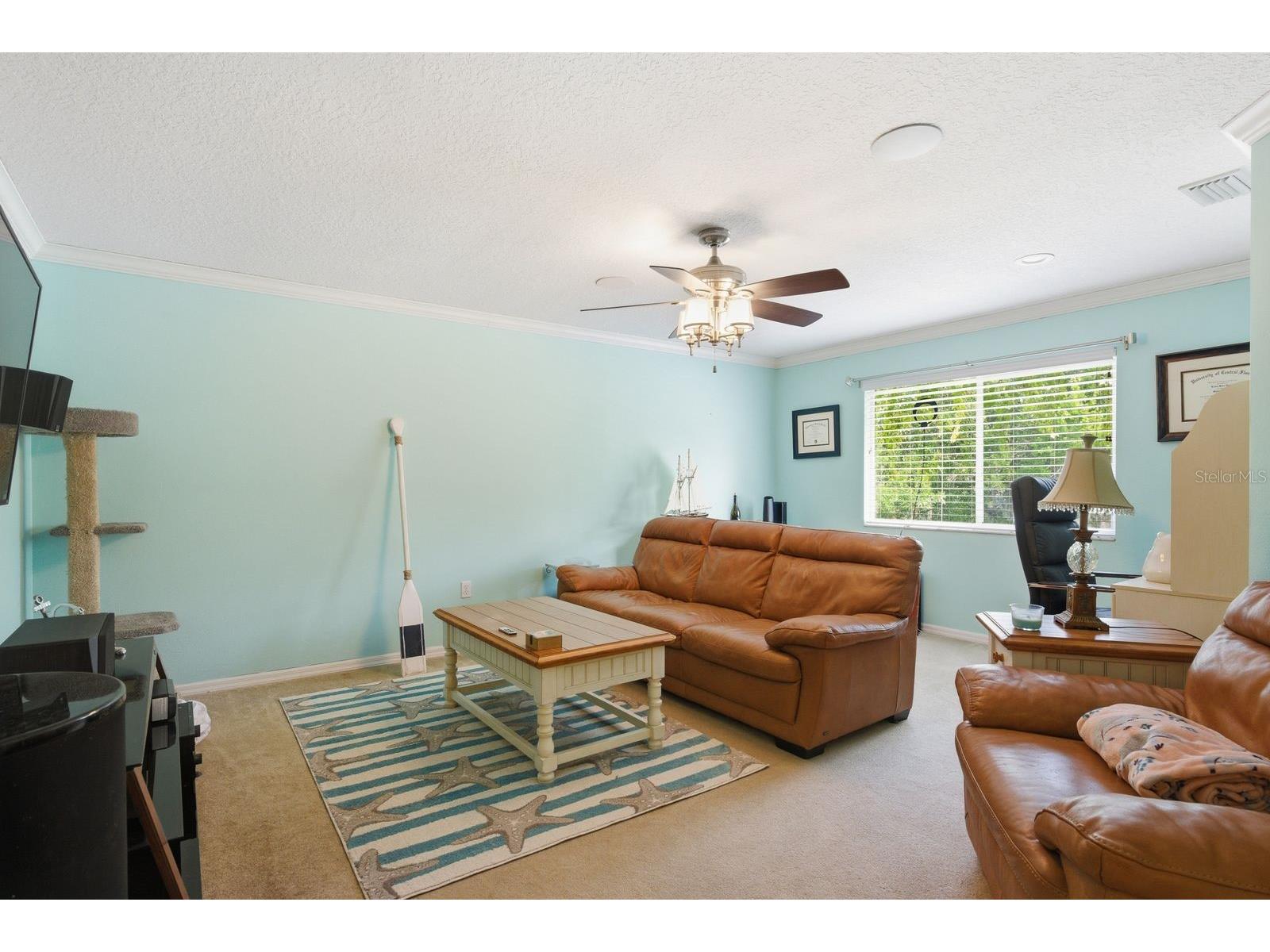 384 Wingate Circle Oldsmar FL 34677 TB8515031 image25