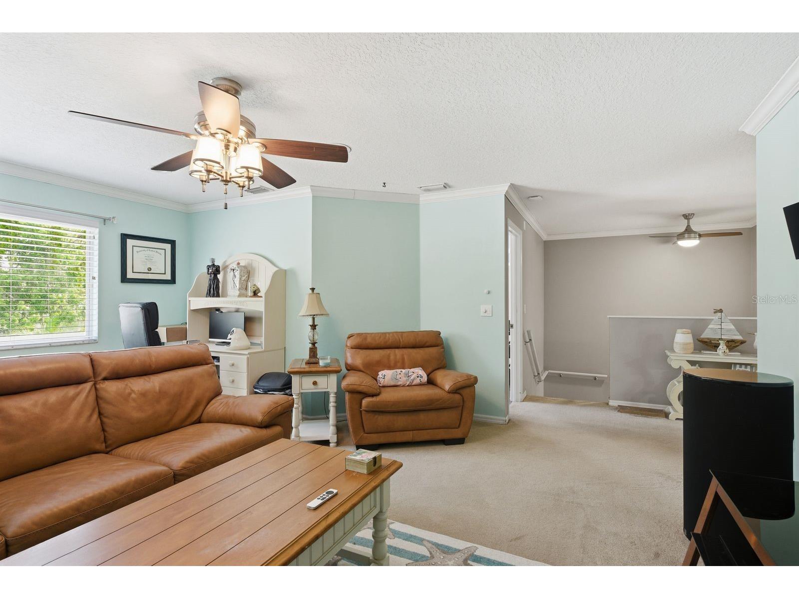 384 Wingate Circle Oldsmar FL 34677 TB8515031 image29