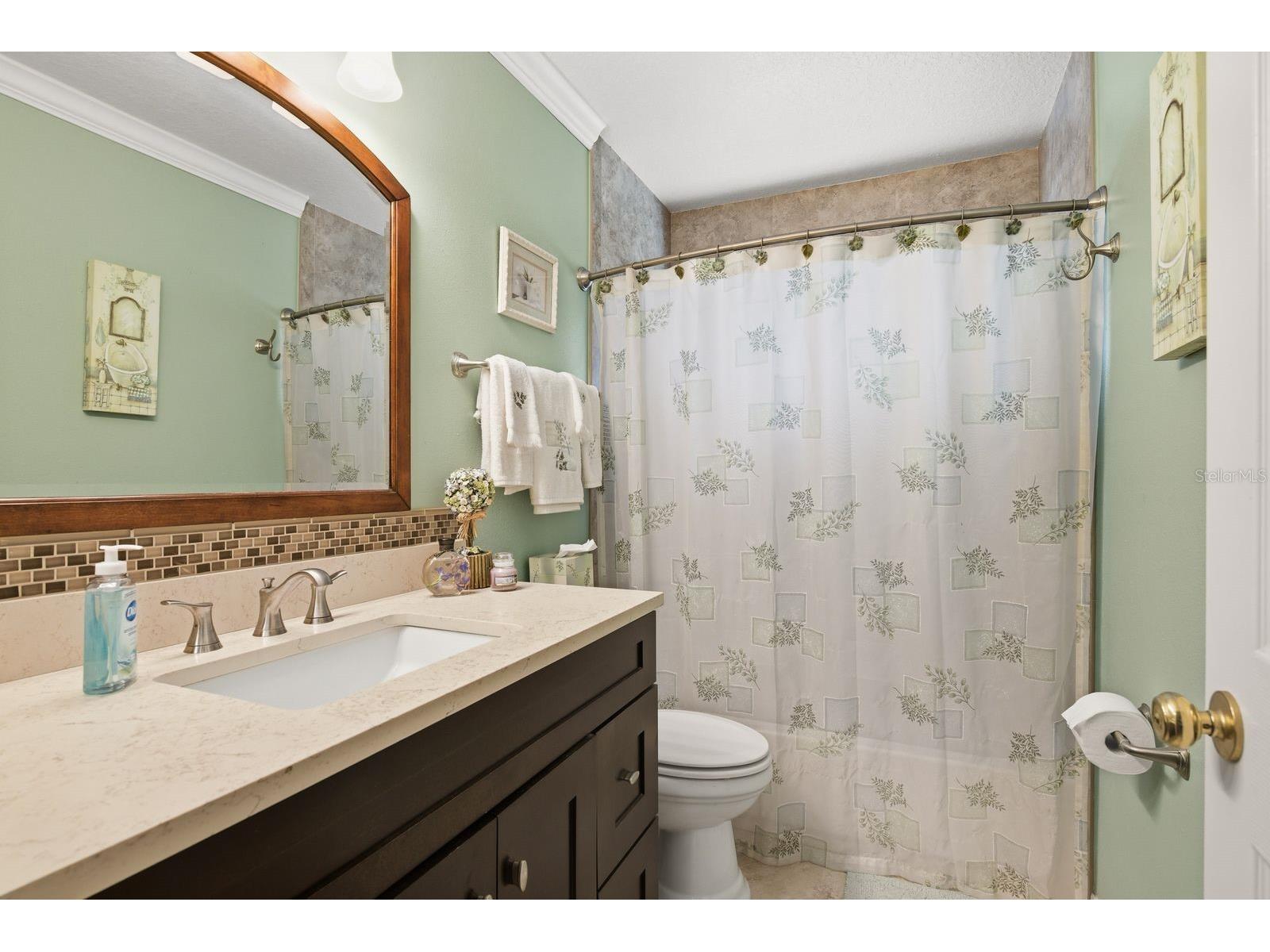 384 Wingate Circle Oldsmar FL 34677 TB8515031 image36