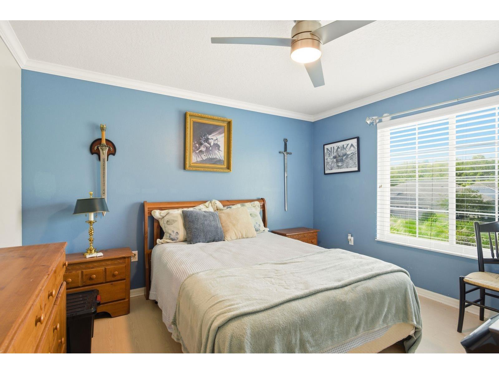 384 Wingate Circle Oldsmar FL 34677 TB8515031 image37