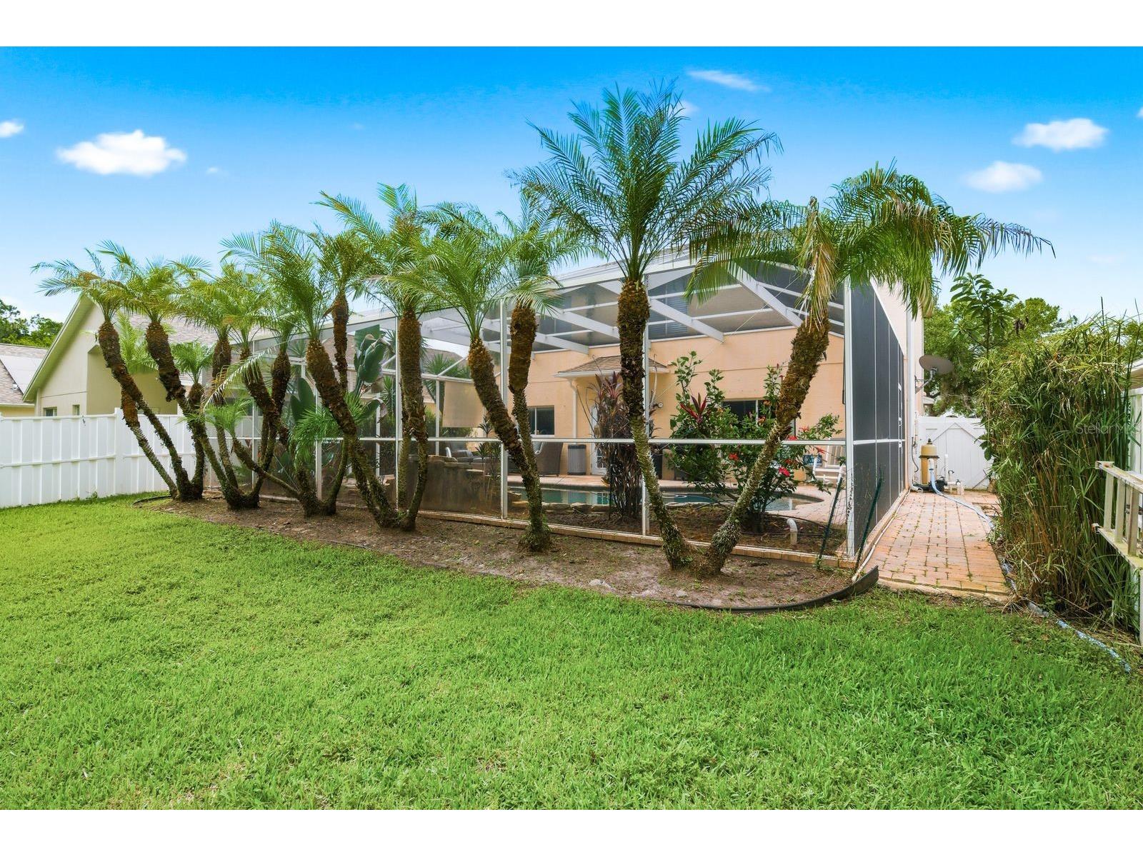 384 Wingate Circle Oldsmar FL 34677 TB8515031 image49