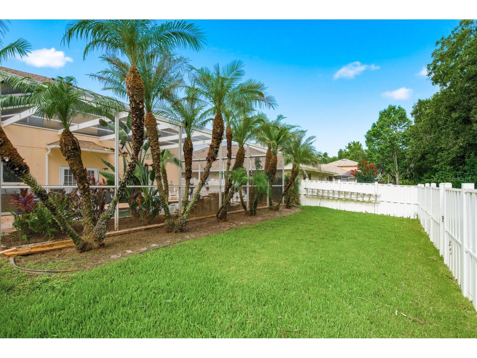 384 Wingate Circle Oldsmar FL 34677 TB8515031 image50