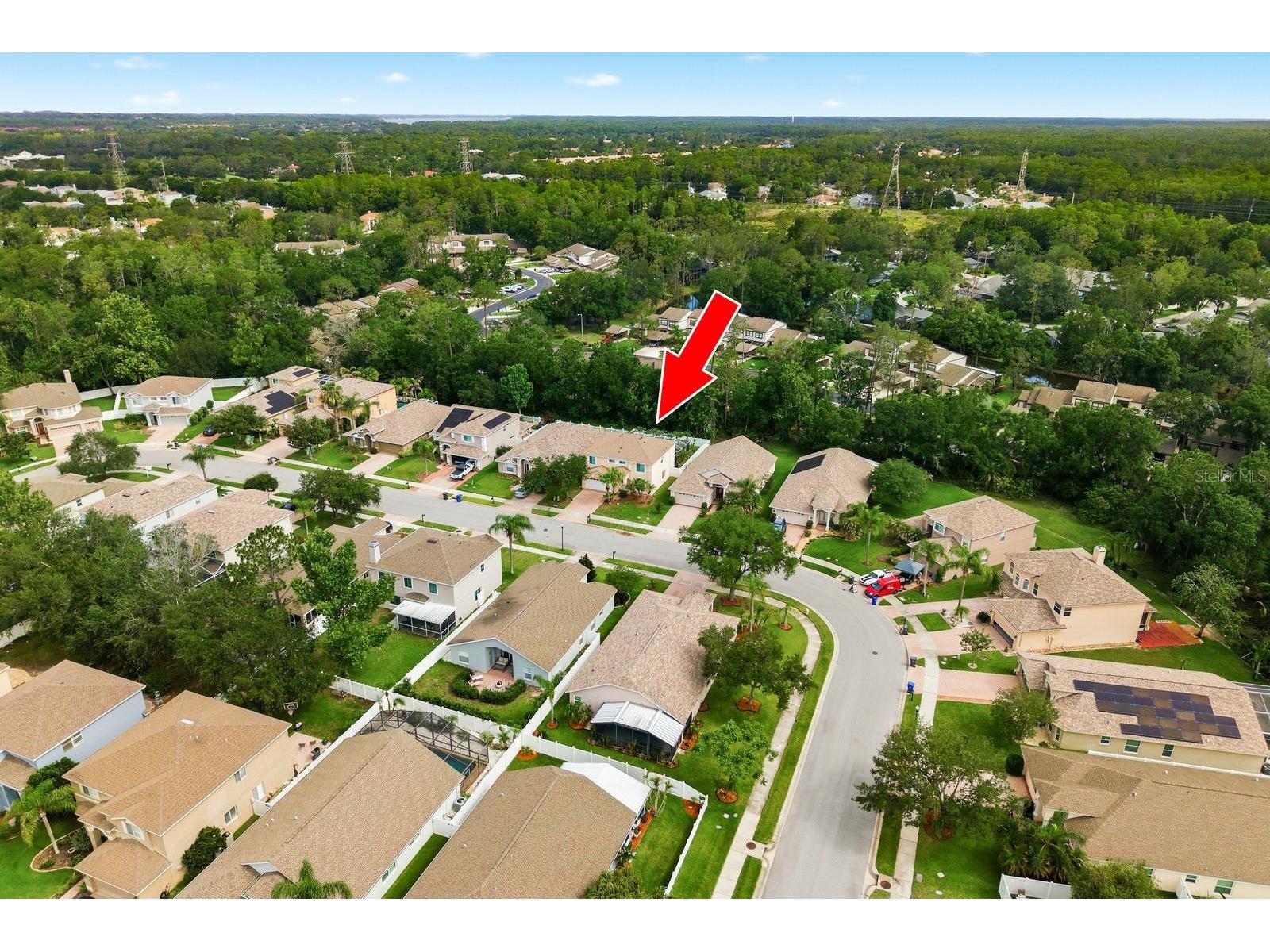 384 Wingate Circle Oldsmar FL 34677 TB8515031 image56