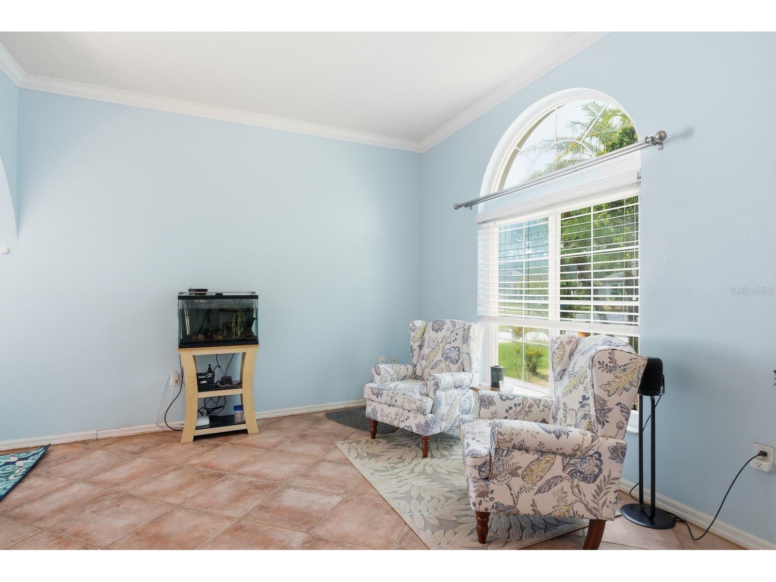 384 Wingate Circle Oldsmar FL 34677 TB8515031 image7