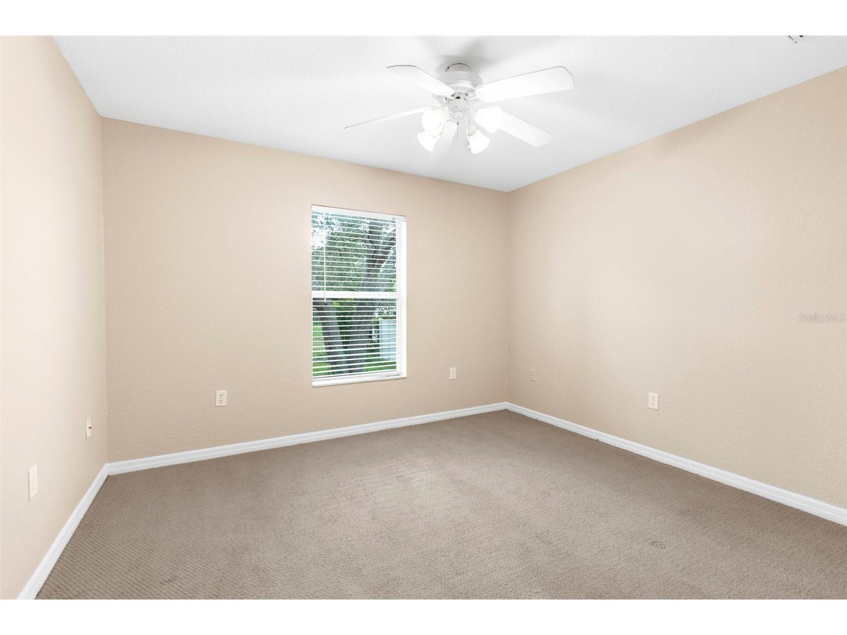 3840 Lema Drive Spring Hill FL 34609 TB8423678 image32