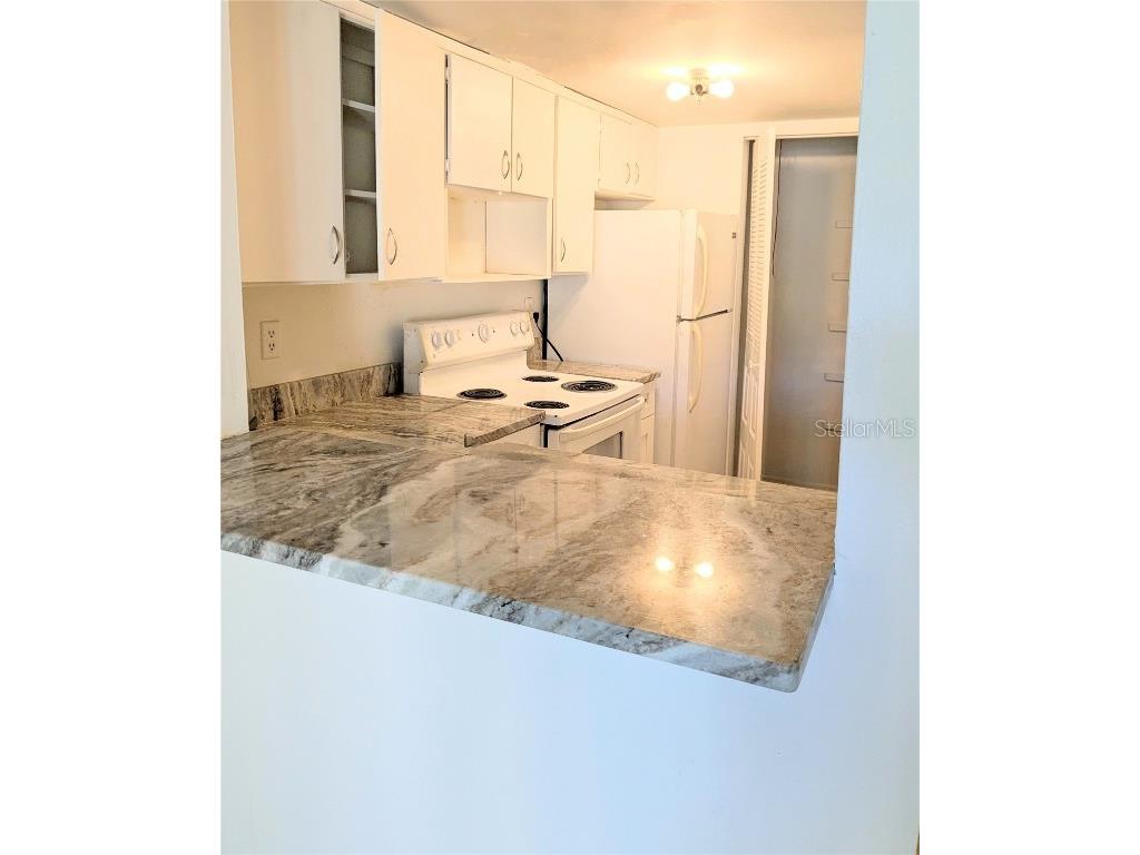 3840 N Lake Drive #125 Tampa FL 33614 TB8385308 image3