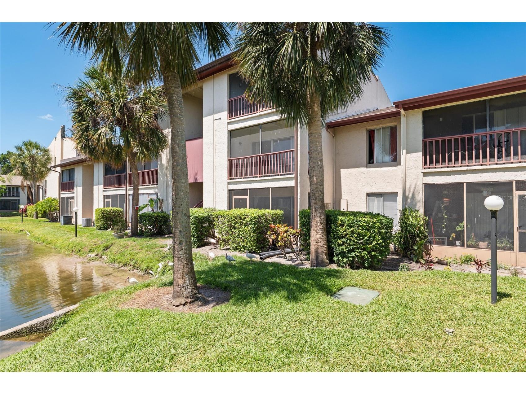 3840 N Lake Drive #125 Tampa FL 33614 TB8517263 image14