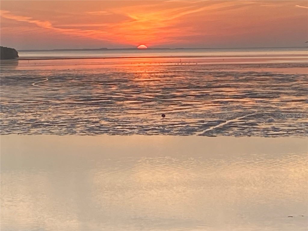 3840 Rudder Way New Port Richey FL 34652 - GULF/TROUBLE CREEK TB8395198 image15